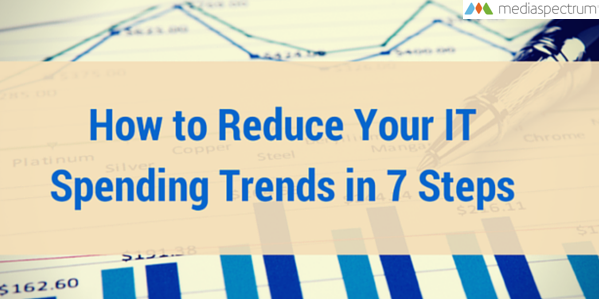 How to Reduce Your IT Spending Trends in 7 Steps | Mediaspectrum